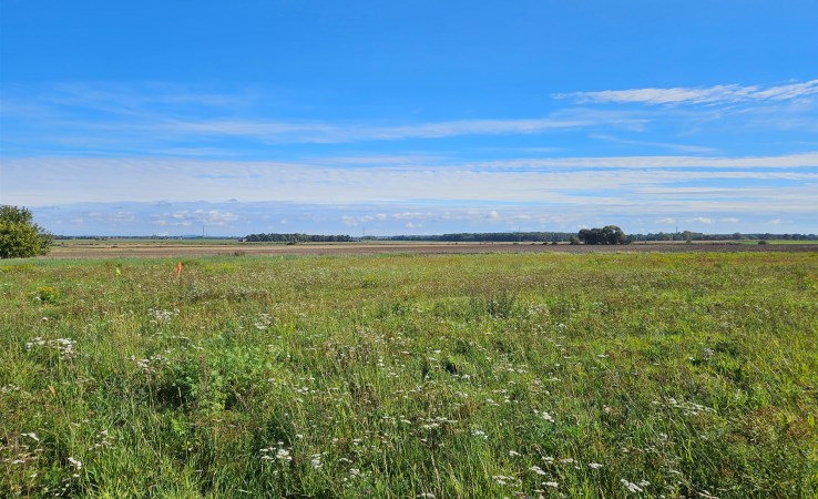 działka na sprzedaż - Dobromierz, Szymanów