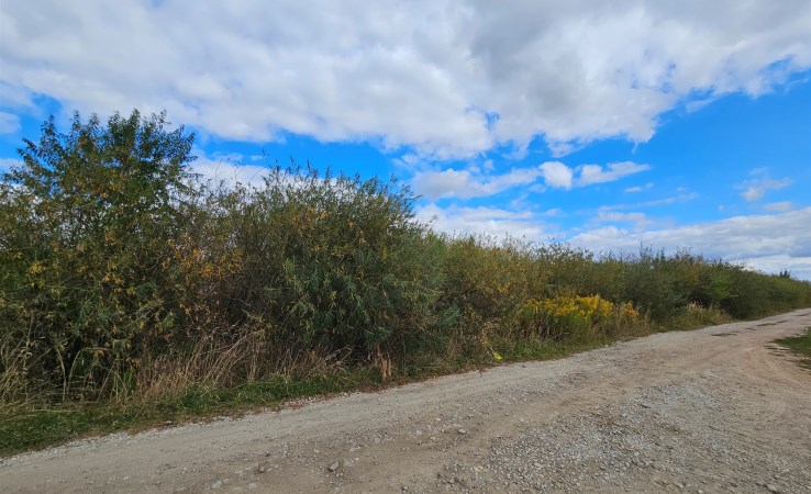 działka na sprzedaż - Świebodzice, Ciernie